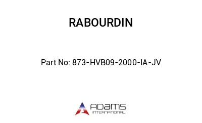 873-HVB09-2000-IA-JV