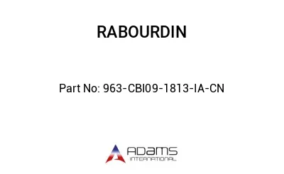963-CBI09-1813-IA-CN